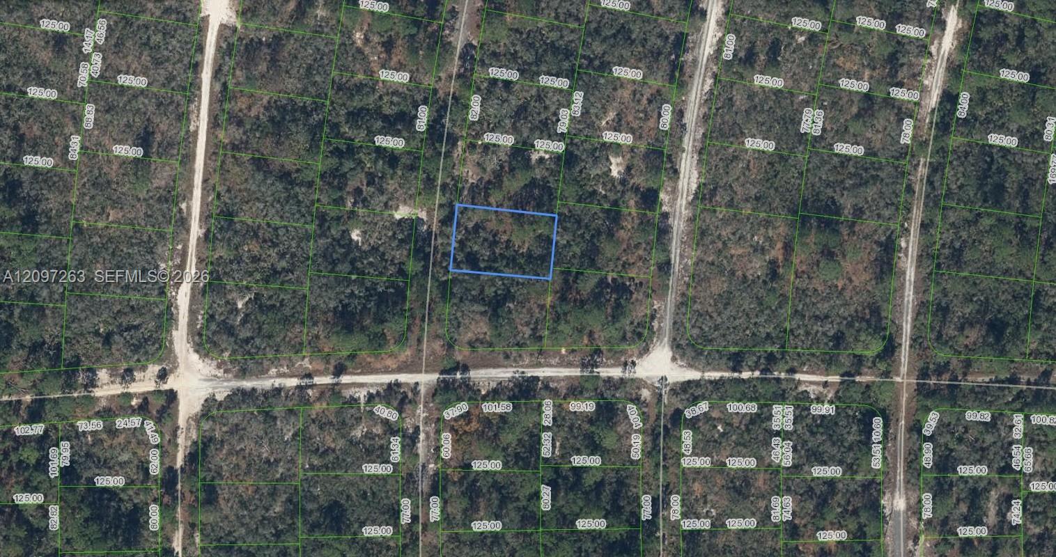 305 Blue Heaven Drive, Lake Placid FL 33852
