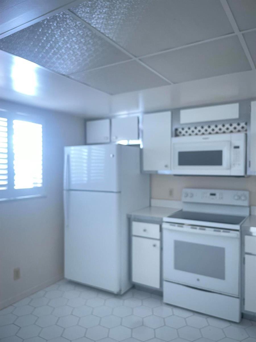 250 JOHN F KENNEDY Drive # 308, Atlantis FL 33462 photo 4