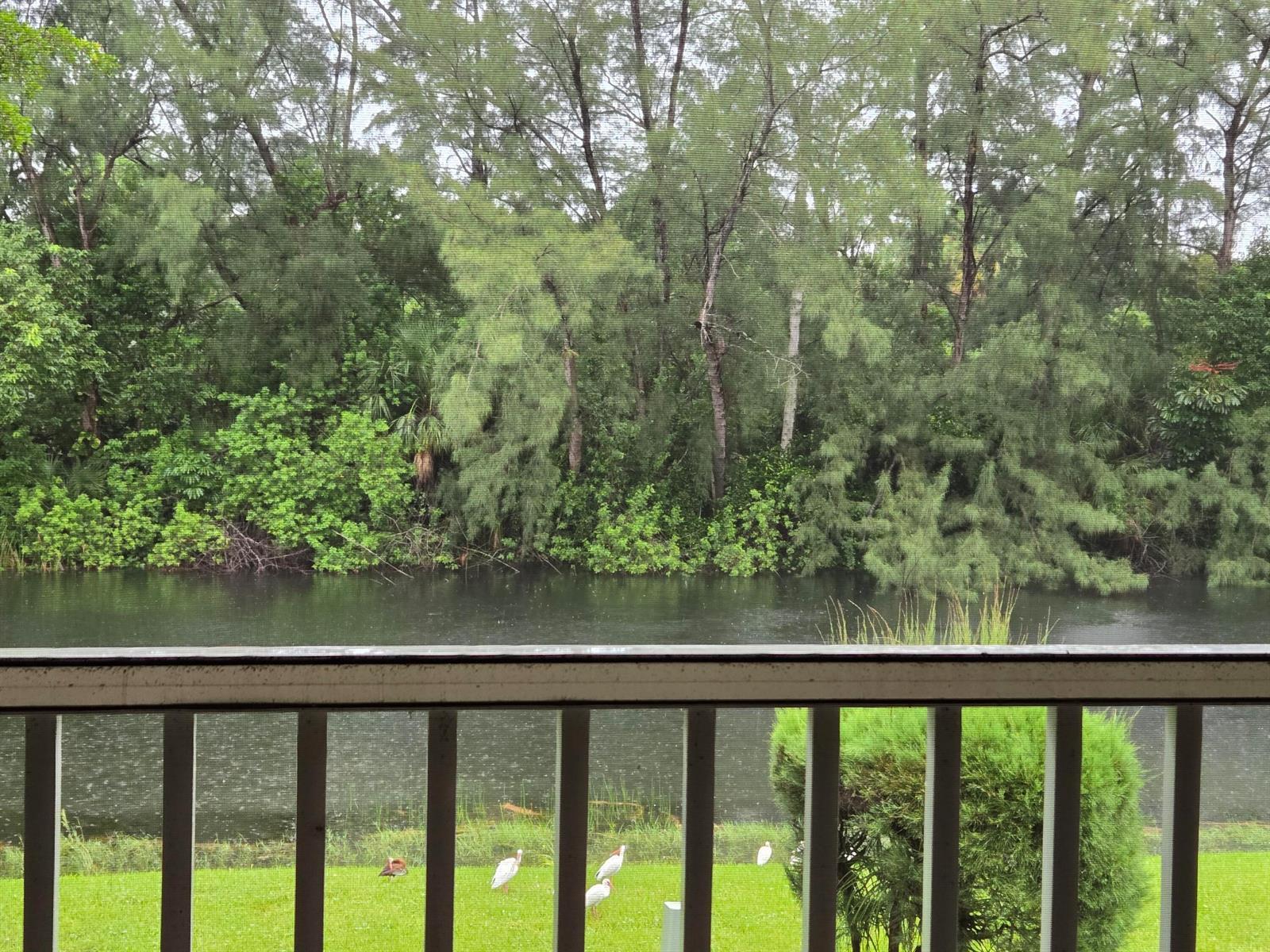 130 Lake Meryl Drive, West Palm Beach FL 33411 photo 5