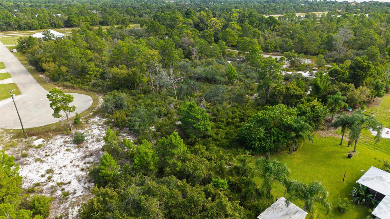 224 Fiji Way NE, Lake Placid FL 33852 photo 3