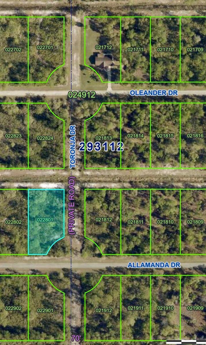 0 ALLAMANDA Drive, FL 33855 photo 2