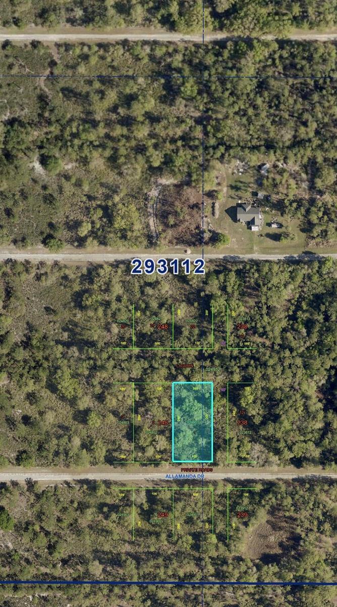 Tbd Allamanda Drive, FL 33855 photo 2