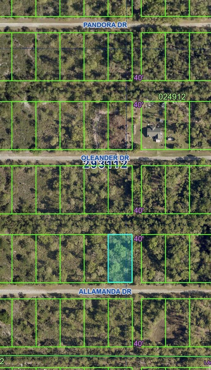 Tbd Allamanda Drive, FL 33855 photo 3