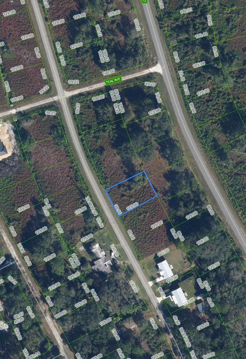 1027 ORIOLE Street, Lake Placid FL 33852 photo 2