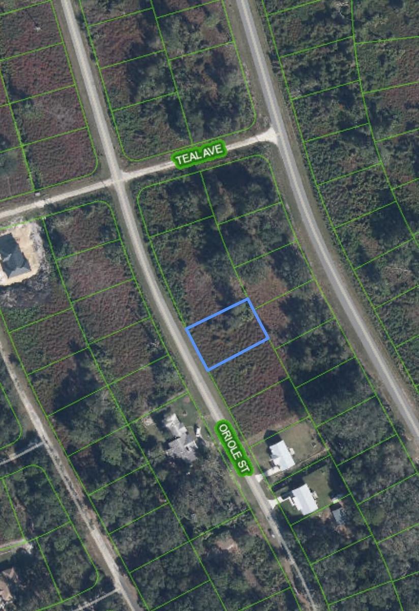 1027 ORIOLE Street, Lake Placid FL 33852