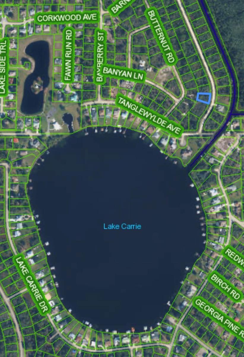 1108 GREENFIELD Street, Lake Placid FL 33852 photo 3