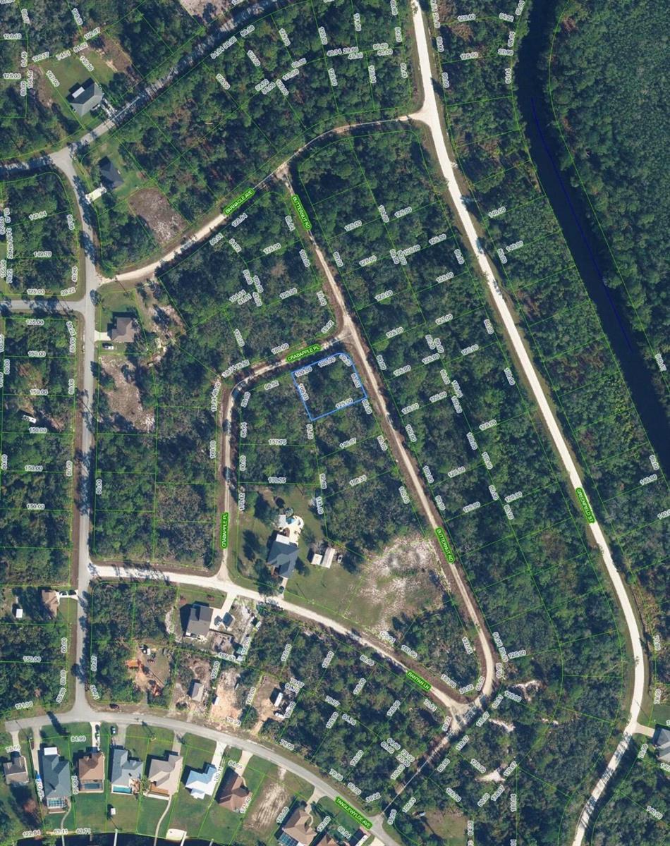 1123 CRABAPPLE Place, Lake Placid FL 33852 photo 2
