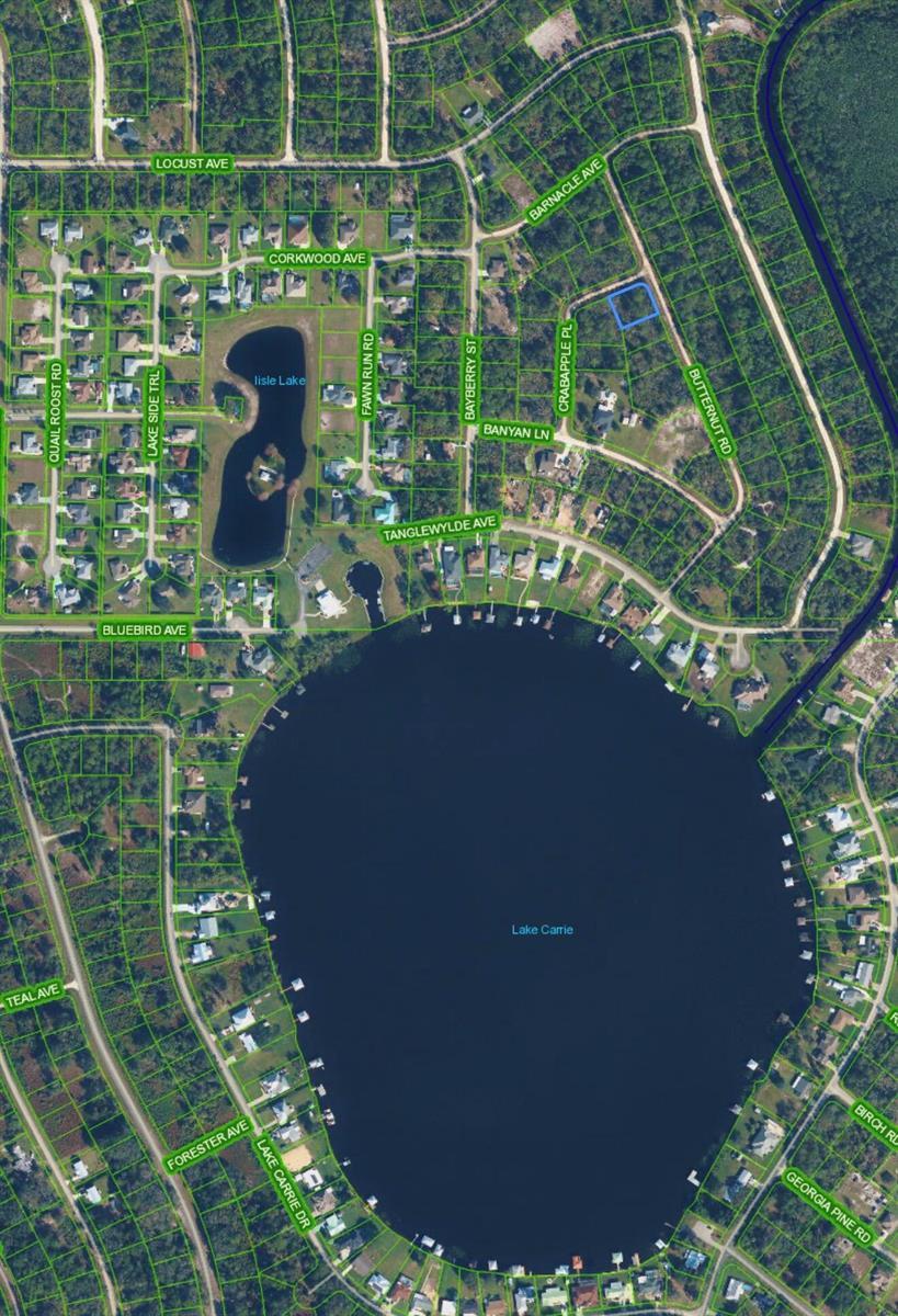 1123 CRABAPPLE Place, Lake Placid FL 33852 photo 4