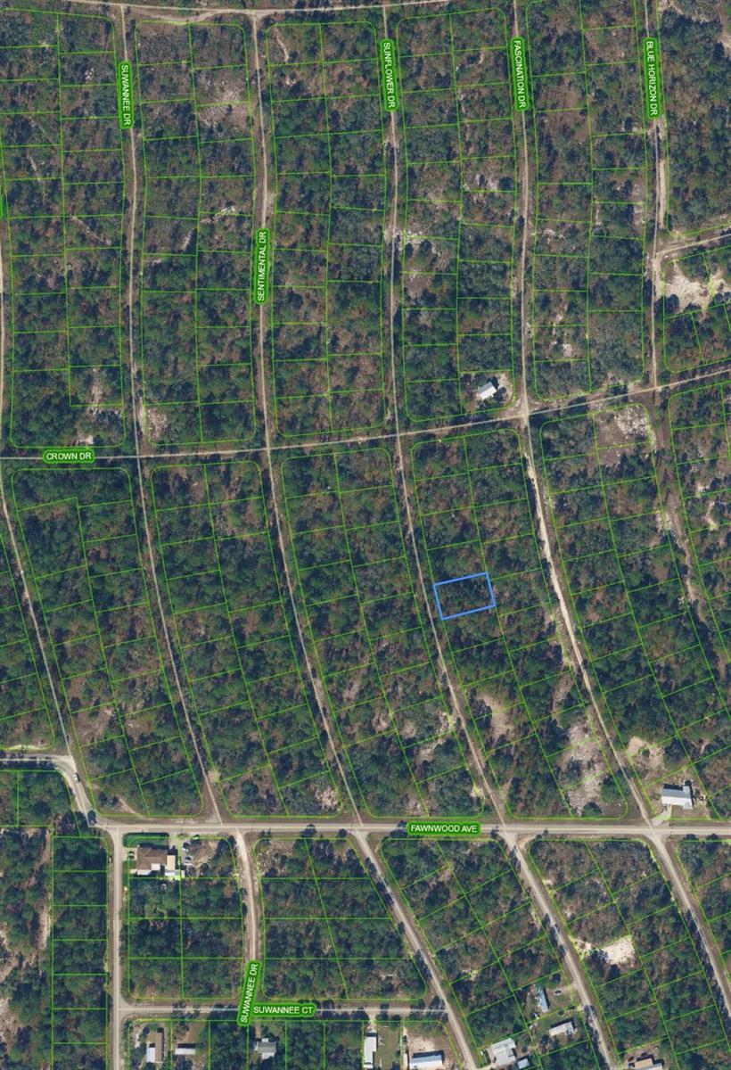 213 SUNFLOWER Drive, Lake Placid FL 33852 photo 2