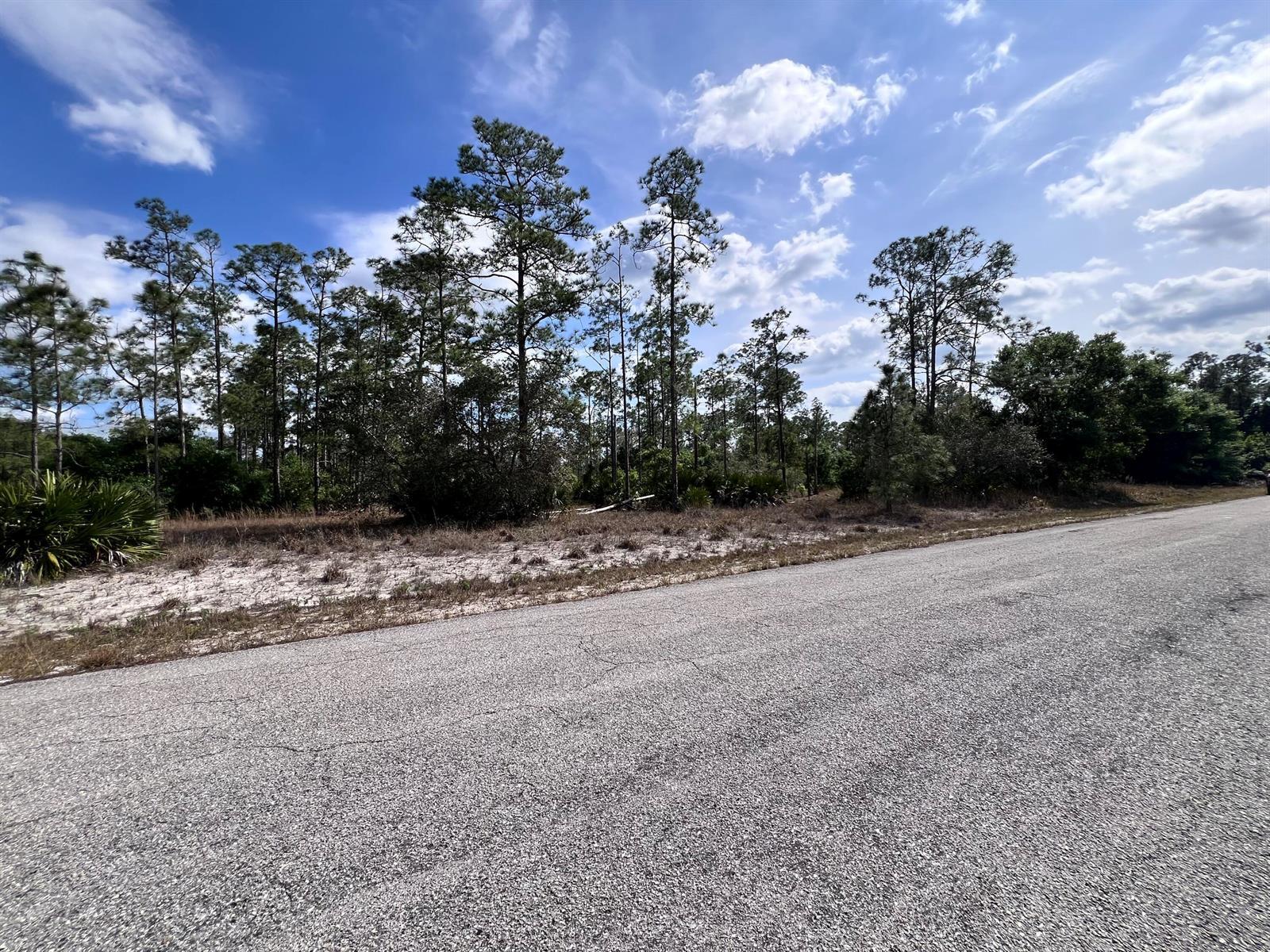 1506 E 15TH Street, Lehigh Acres FL 33972 photo 2