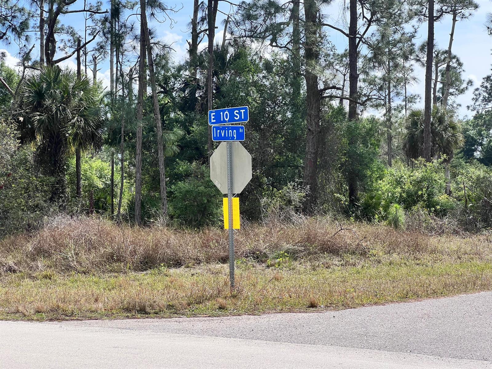 4206 E 10TH Street, Lehigh Acres FL 33972 photo 3