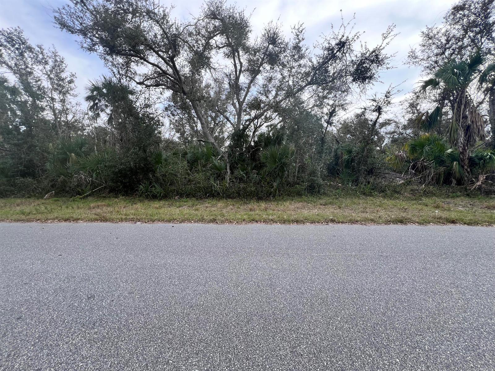 14447 Black Avenue, Port Charlotte FL 33953 photo 2