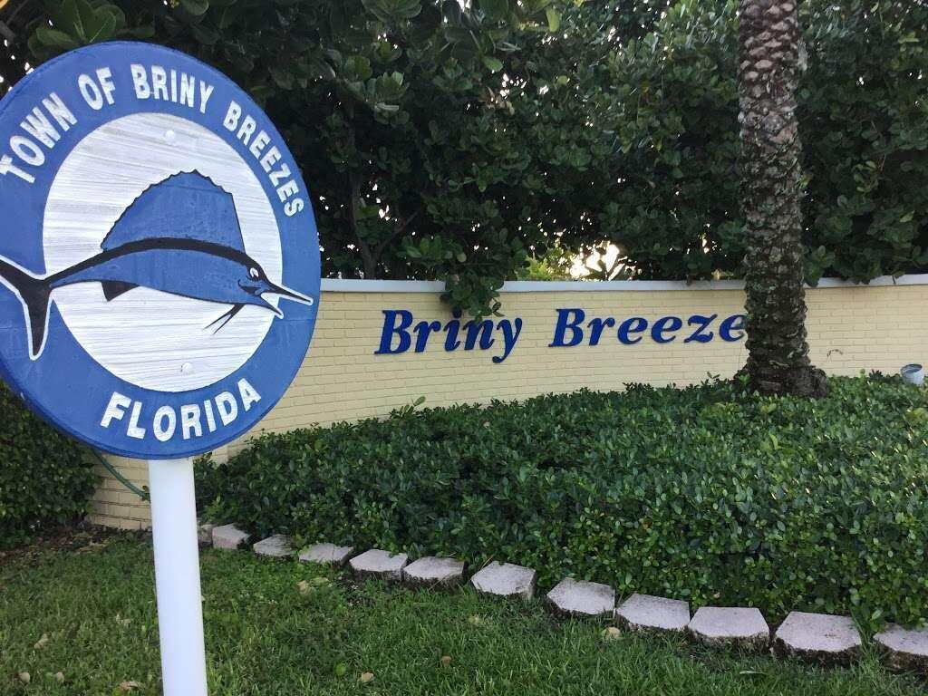 15 HIBISCUS Drive # H, Briny Breezes FL 33435 photo 4