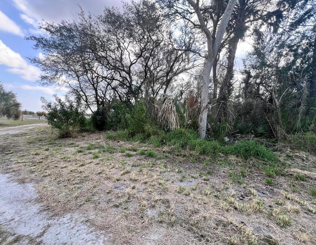 4108 Sebring Lakes Boulevard, Sebring FL 33875 photo 2