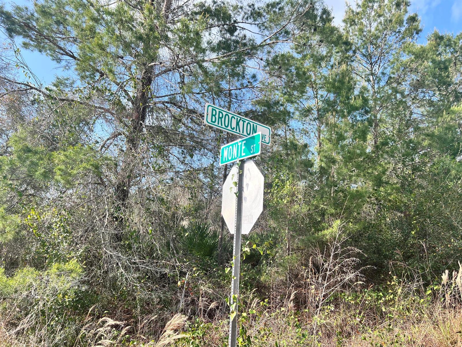 4847 Brockton Avenue, Sebring FL 33875 photo 2