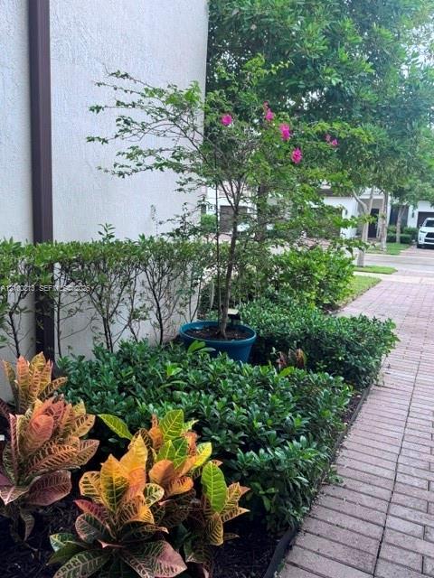 Miami, FL 33179 photo 4