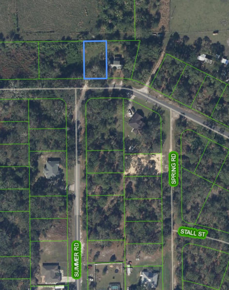 1513 SPRING Lane, Lake Placid FL 33852 photo 2
