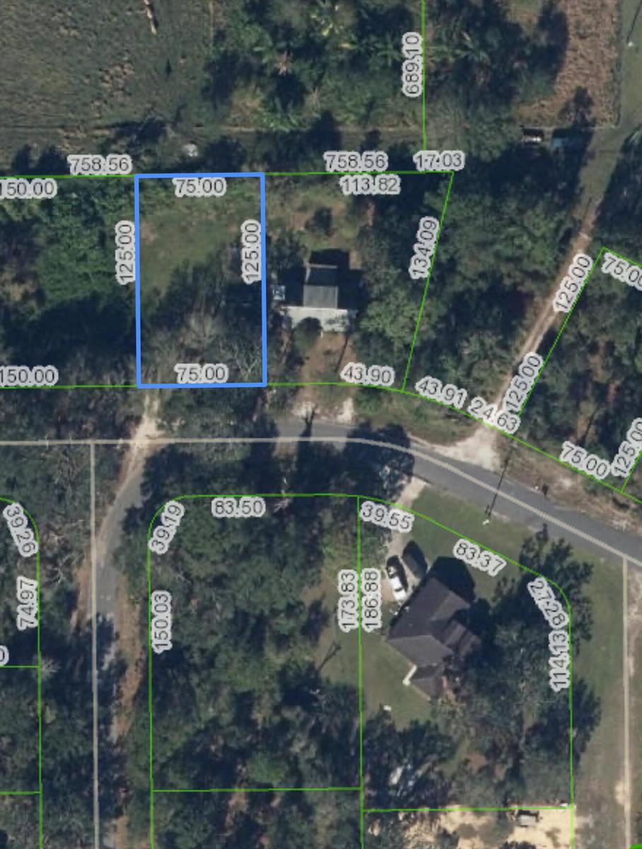 1513 SPRING Lane, Lake Placid FL 33852 photo 3