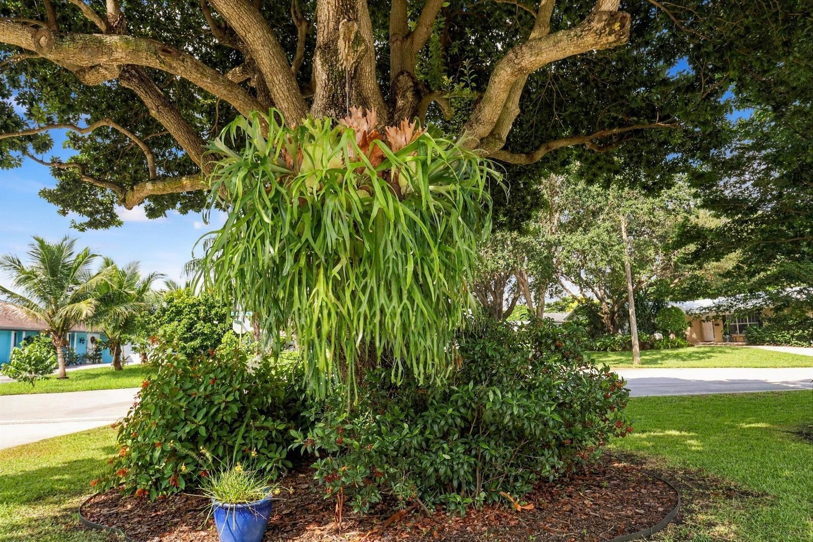 9714 HONEYSUCKLE Avenue, Palm Beach Gardens FL 33410 photo 4