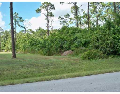 Xx Sycamore Drive W, Loxahatchee FL 33470 photo 3