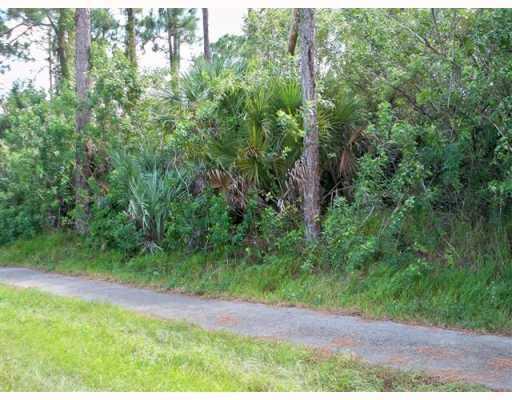Xx Sycamore Drive W, Loxahatchee FL 33470 photo 4