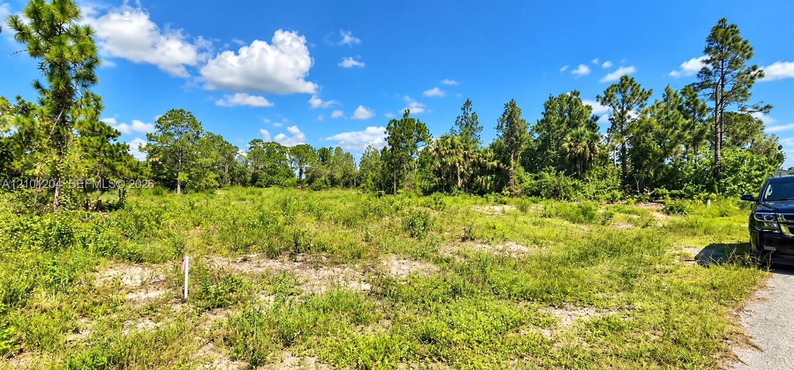1221 ACACIA AVE, Lehigh Acres FL 33972 photo 2