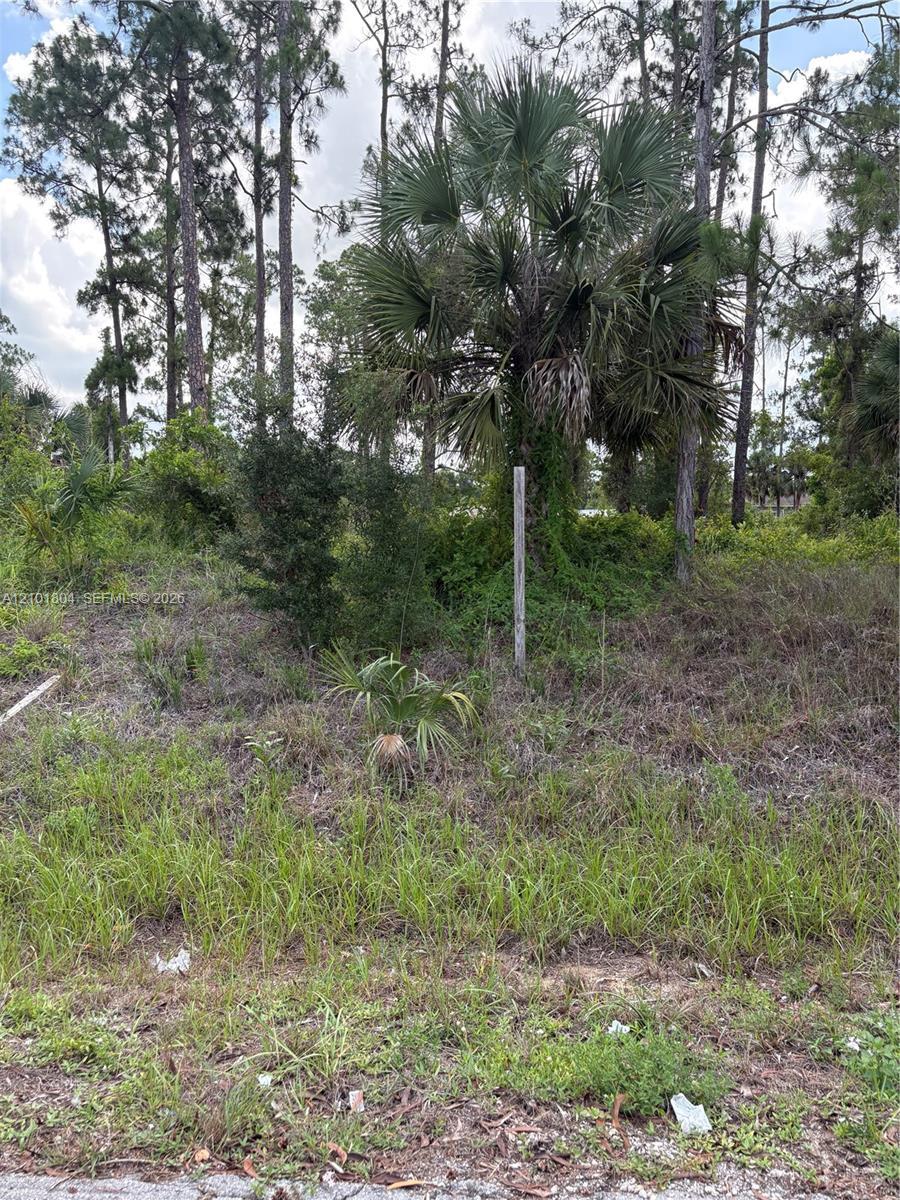 718 Columbus Avenue, Lehigh Acres FL 33972 photo 2