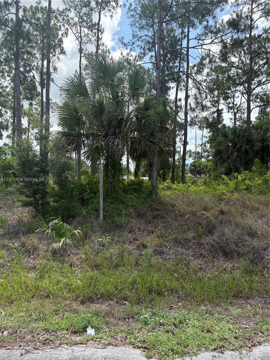 718 Columbus Avenue, Lehigh Acres FL 33972 photo 3
