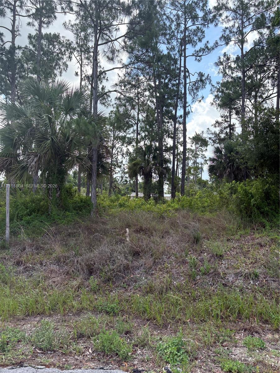 718 Columbus Avenue, Lehigh Acres FL 33972 photo 4