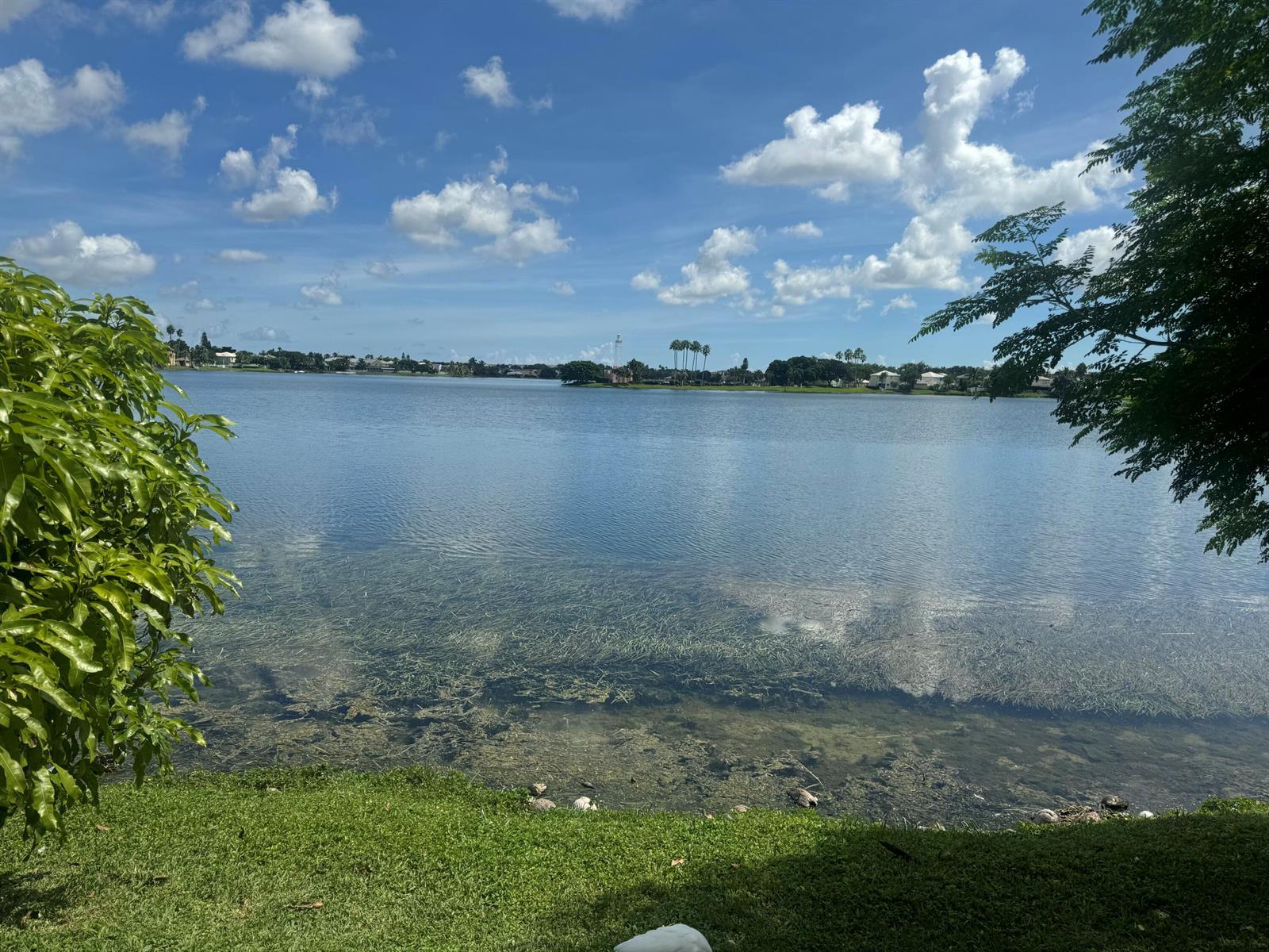 3130 W BUENA VISTA Drive, Margate FL 33063 photo 5