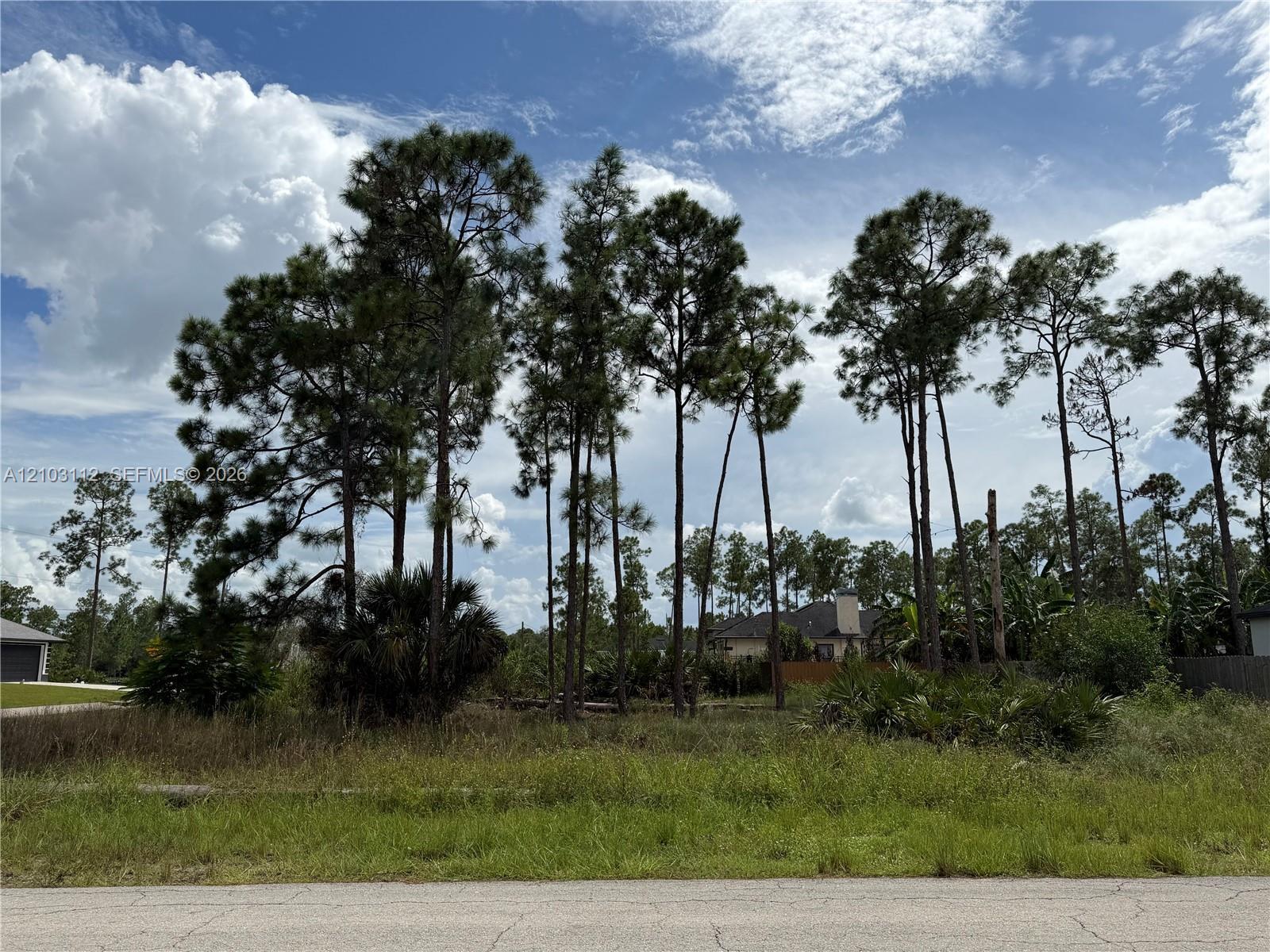 906 E 13th Street, Lehigh Acres FL 33972 photo 2