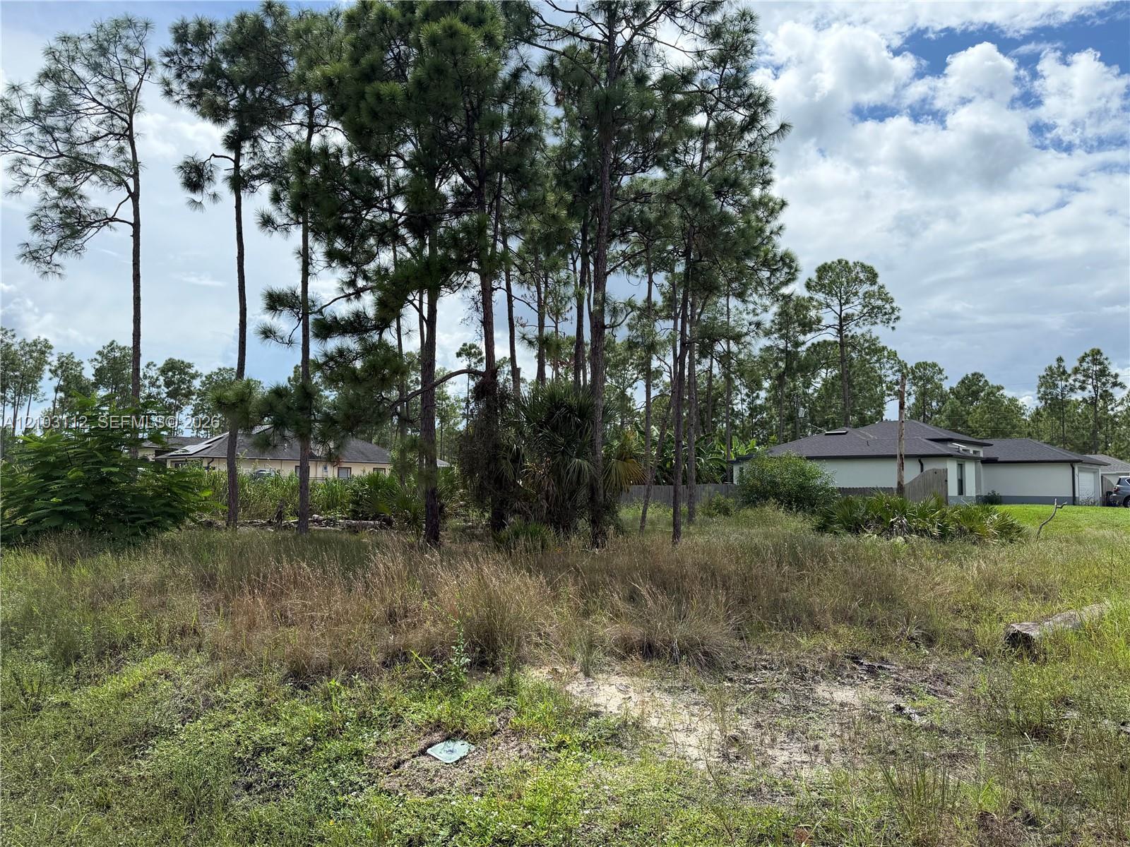 906 E 13th Street, Lehigh Acres FL 33972 photo 3
