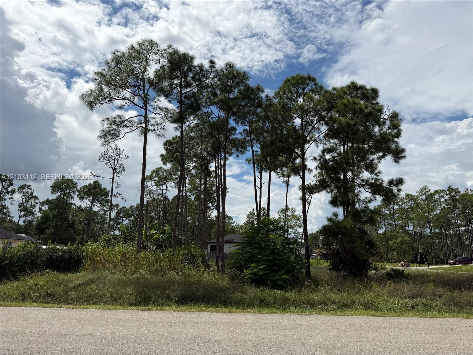 906 E 13th Street, Lehigh Acres FL 33972 photo 4