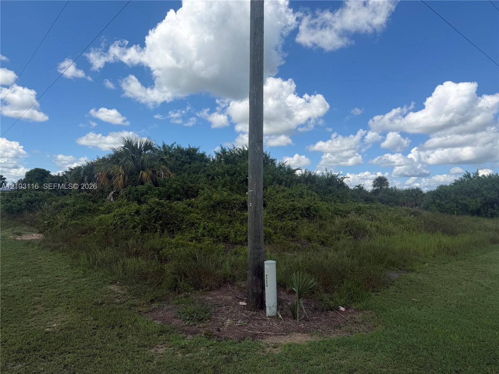 9006 Maywood Cir, Lehigh Acres FL 33935 photo 3