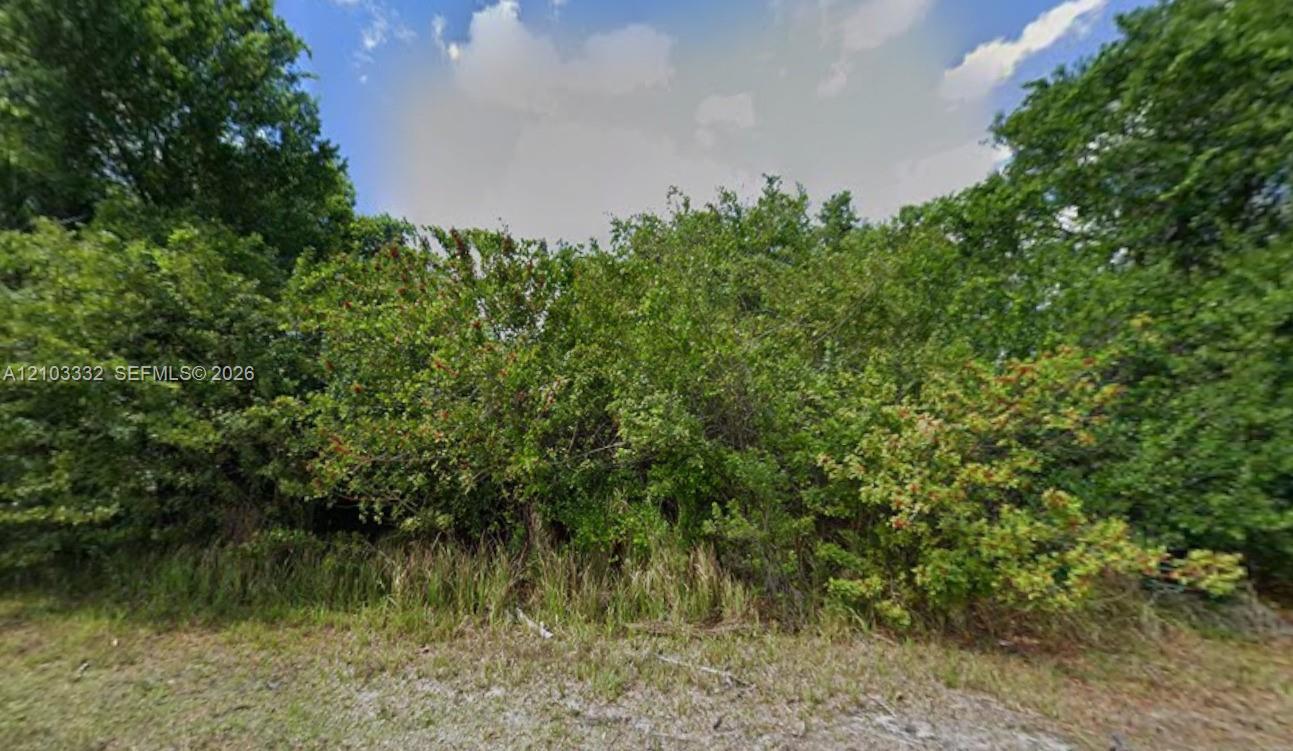 167 ROSEMARY ST, Port Charlotte FL 33954 photo 2