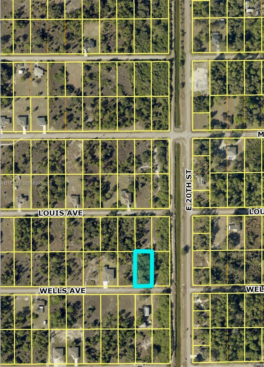 1921 WELLS AVE, Lehigh Acres FL 33972 photo 2
