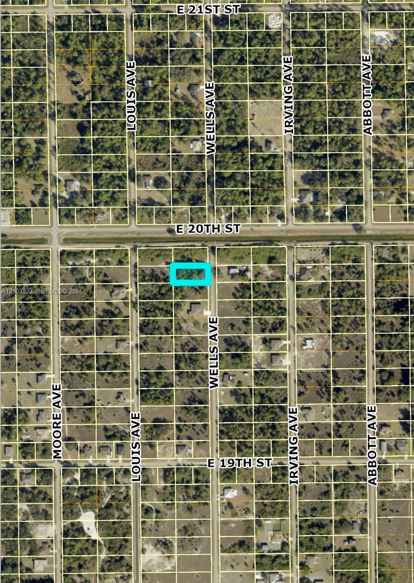 1921 WELLS AVE, Lehigh Acres FL 33972 photo 3