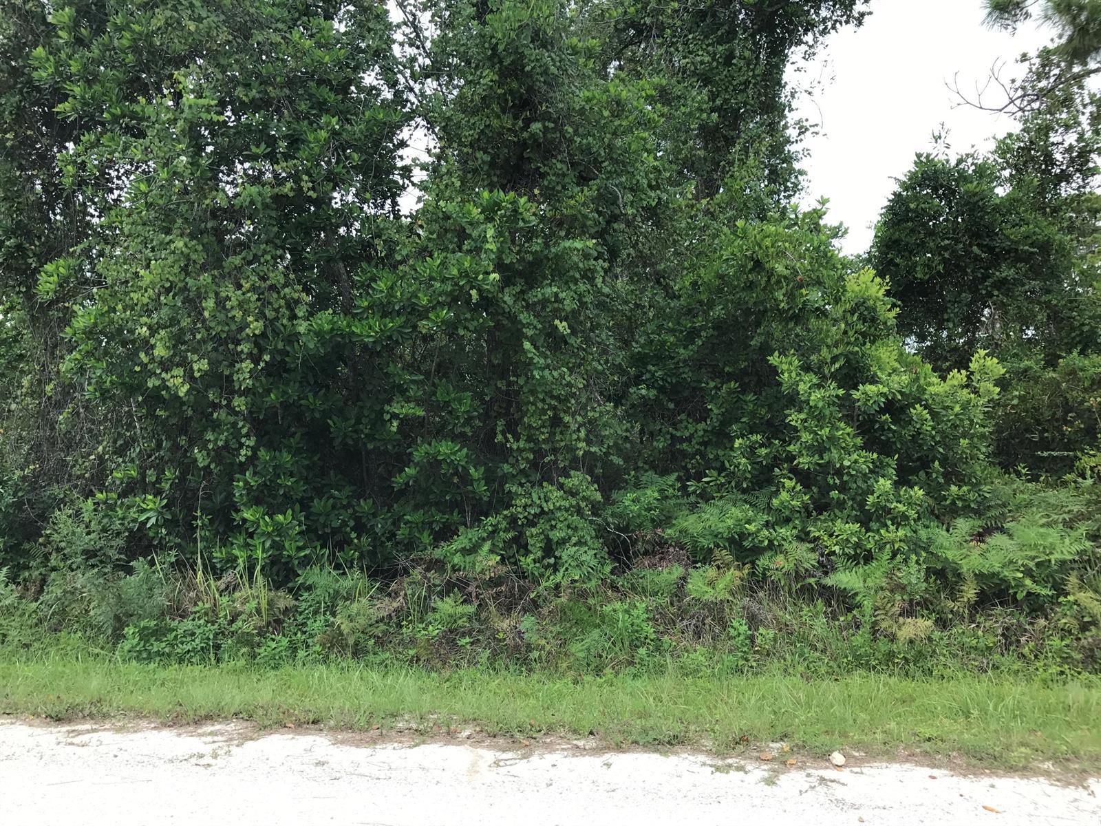 1126 Greenfield Street, Lake Placid FL 33852 photo 2