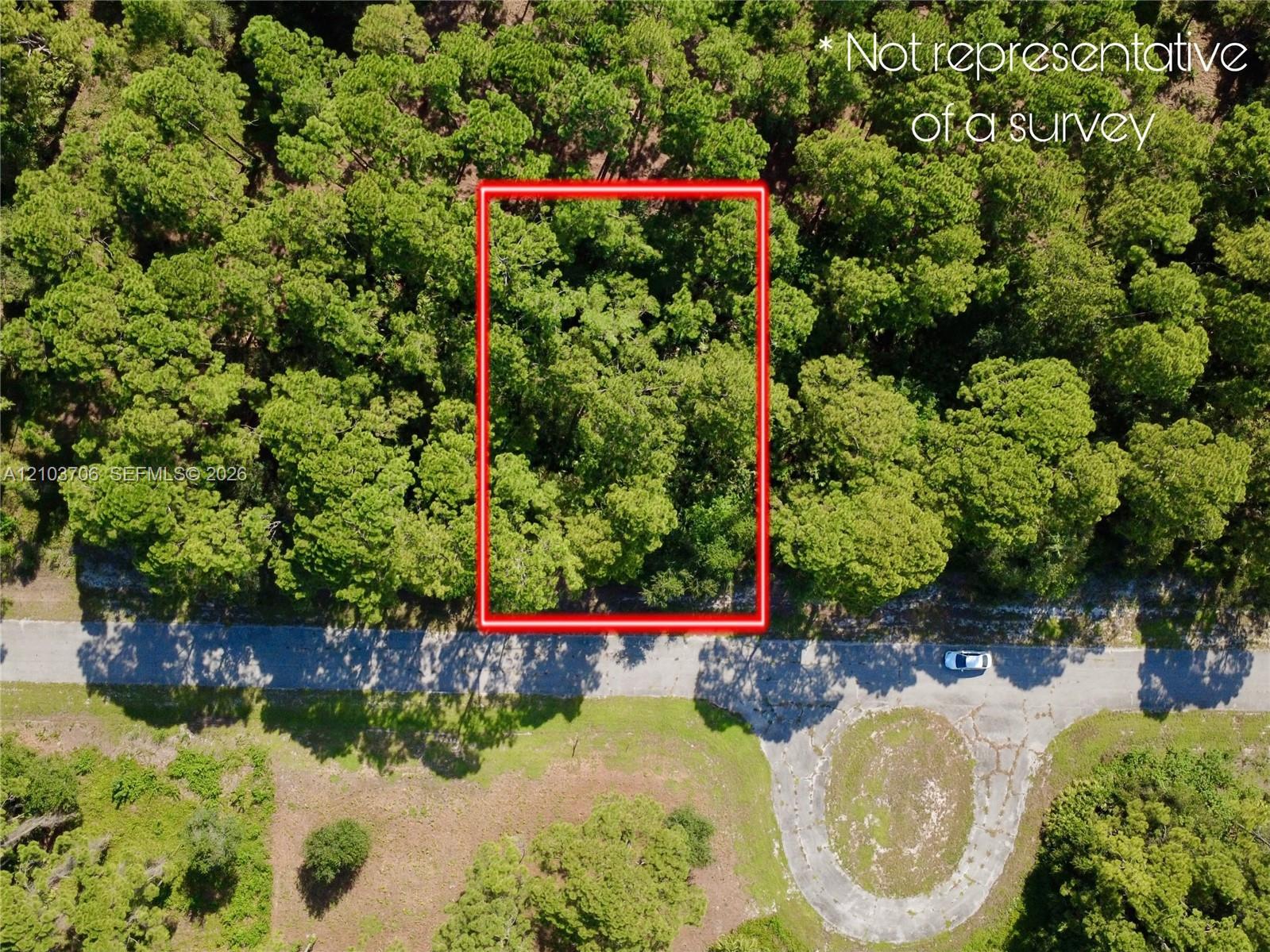 106 ROSEMONT PL, La Belle FL 33935 photo 2