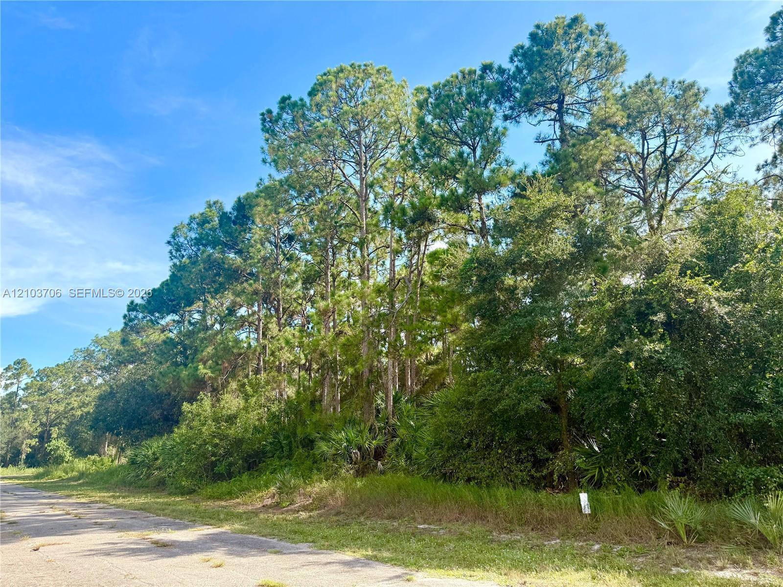 106 ROSEMONT PL, La Belle FL 33935 photo 3
