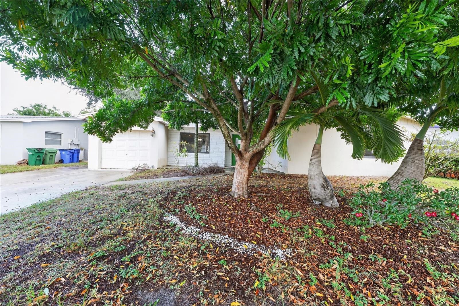 264 NW 79TH Avenue, Margate FL 33063 photo 3