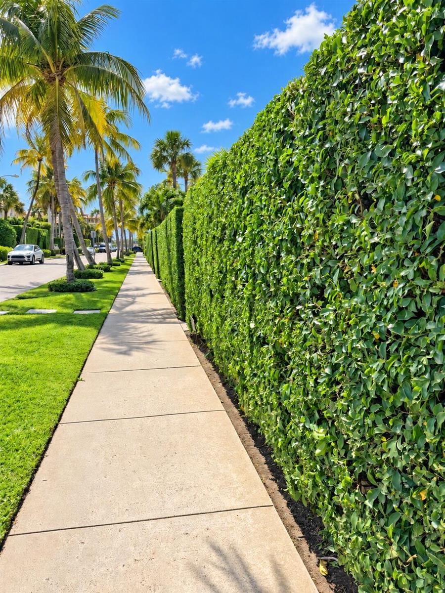 225 EVERGLADE Avenue # 5, Palm Beach FL 33480 photo 5