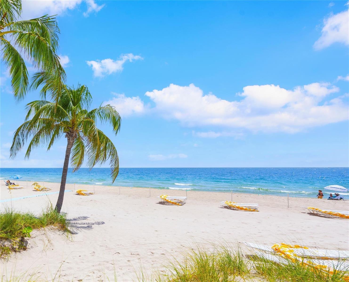 2555 NE 11th Street # 404, Fort Lauderdale FL 33304 photo 2