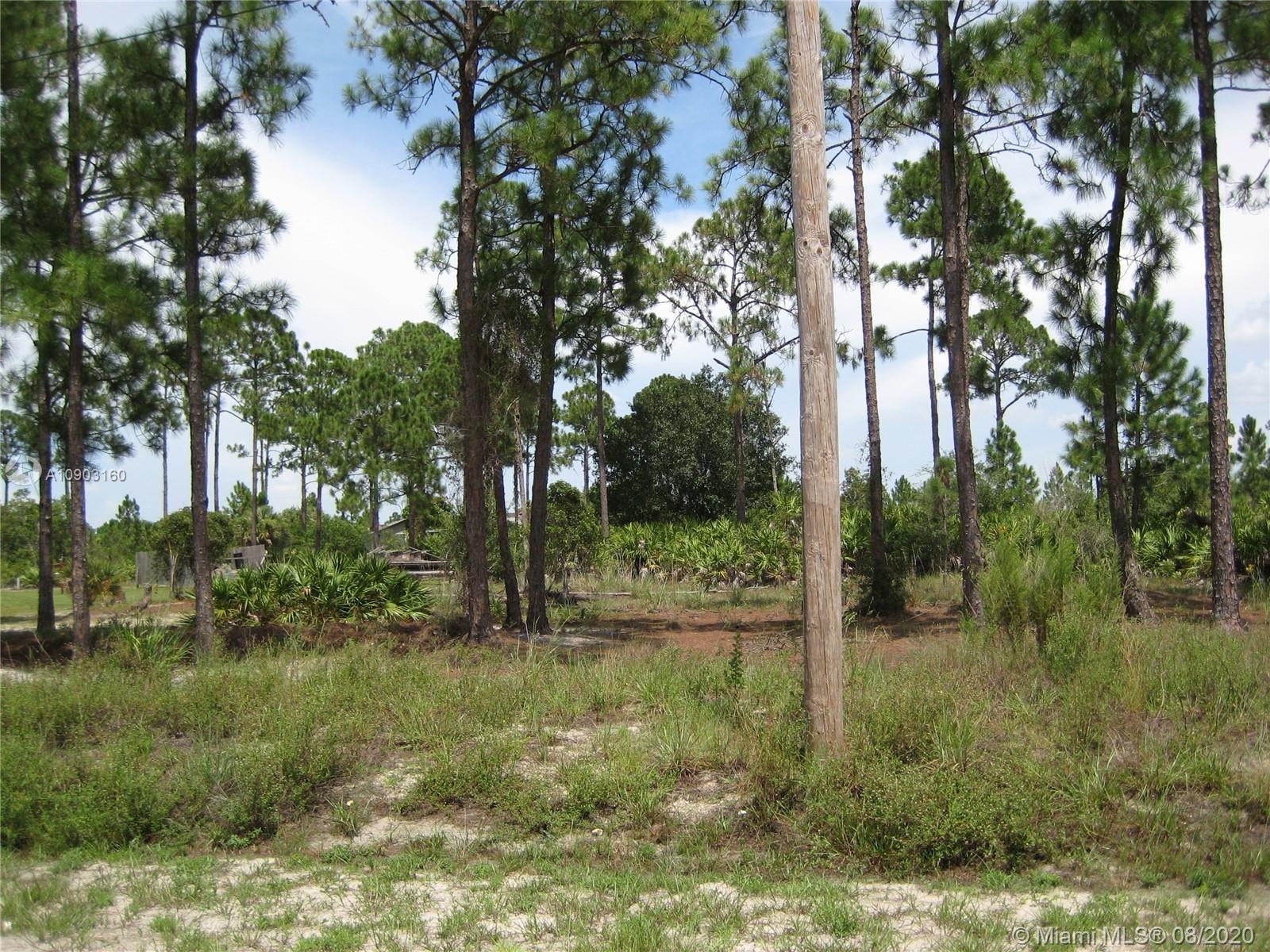 314 Leroy Ave, Lehigh Acres FL 33936