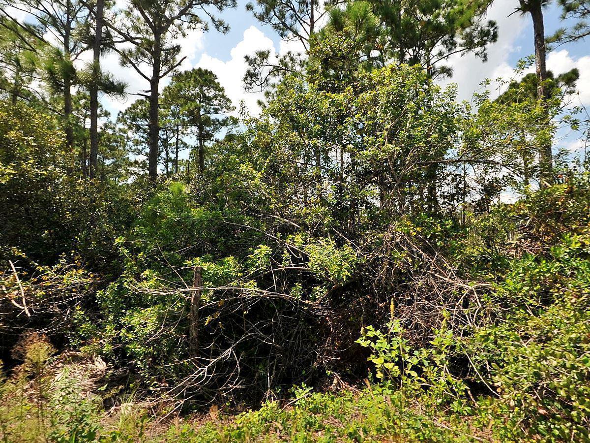 0 Tree Top Trail, Fort Pierce FL 34951