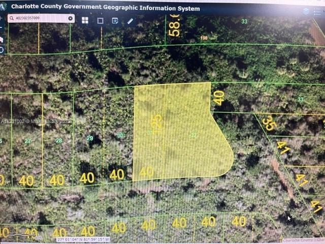 28124 San Jose Court, Punta Gorda FL 33983