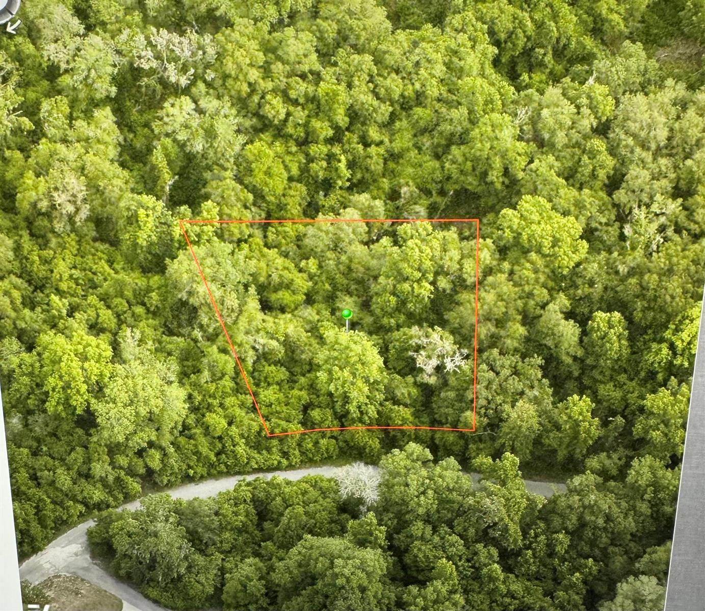 6761 E Dogwood Hammock Drive, Inverness FL 34453