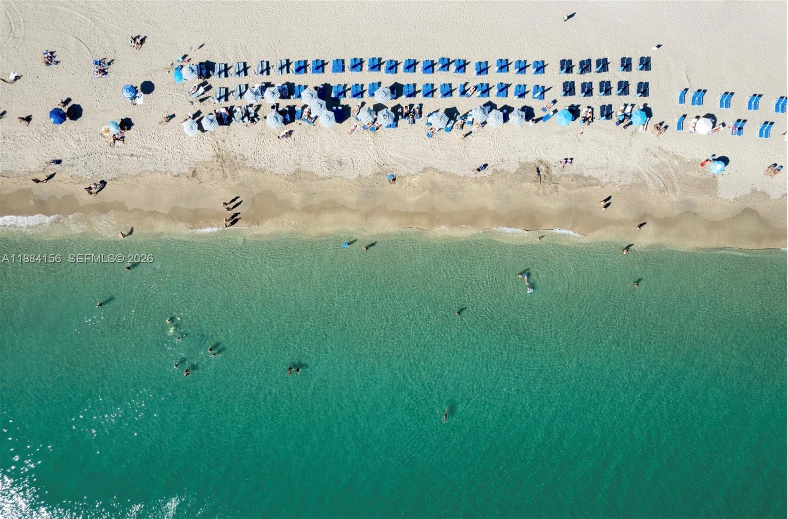 Hallandale Beach, FL