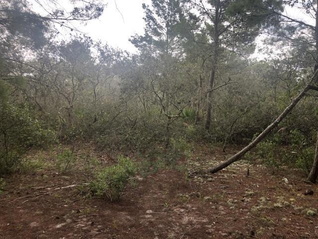 0 Alturas Babson Park Cutoff Road, Lake Wales FL 33859