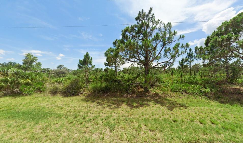 2363 Jacobs St, Port Charlotte FL 33953